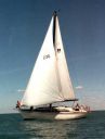 sailing~0.jpg