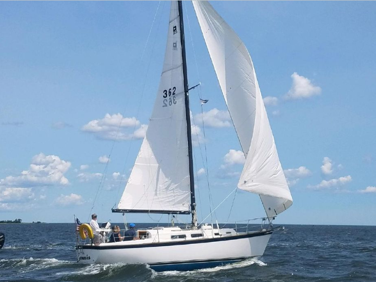 P323 Under Sail